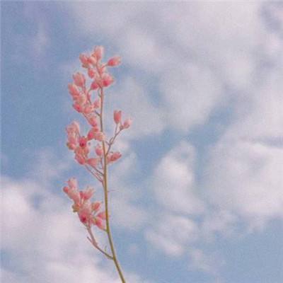 剑侠蜀山修仙手游